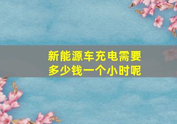 新能源车充电需要多少钱一个小时呢