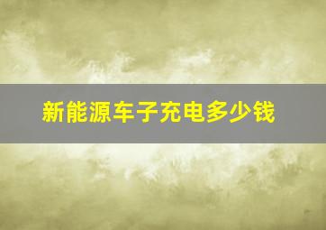 新能源车子充电多少钱