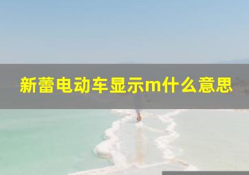 新蕾电动车显示m什么意思