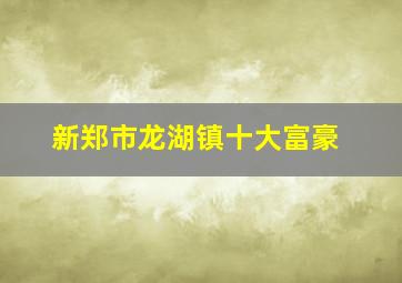 新郑市龙湖镇十大富豪