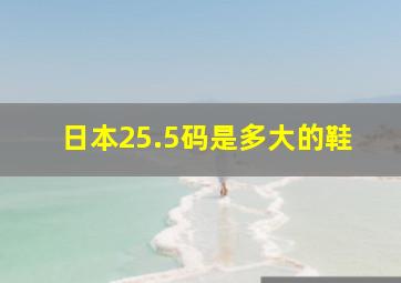 日本25.5码是多大的鞋