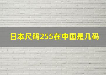 日本尺码255在中国是几码