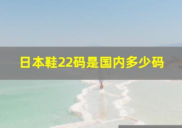 日本鞋22码是国内多少码