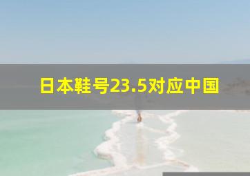 日本鞋号23.5对应中国