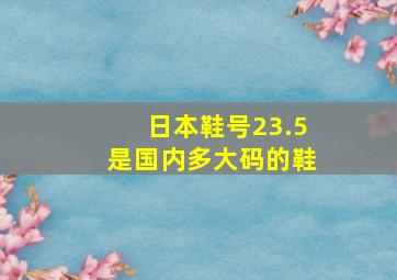 日本鞋号23.5是国内多大码的鞋