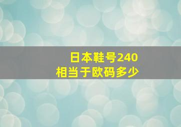 日本鞋号240相当于欧码多少