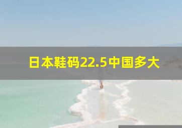 日本鞋码22.5中国多大