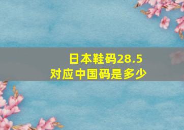 日本鞋码28.5对应中国码是多少