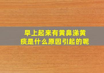 早上起来有黄鼻涕黄痰是什么原因引起的呢