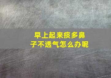 早上起来痰多鼻子不透气怎么办呢