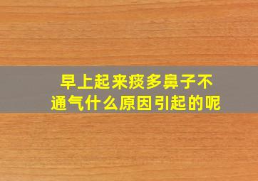 早上起来痰多鼻子不通气什么原因引起的呢