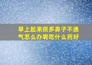 早上起来痰多鼻子不通气怎么办呢吃什么药好