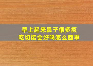 早上起来鼻子很多痰吃切诺会好吗怎么回事