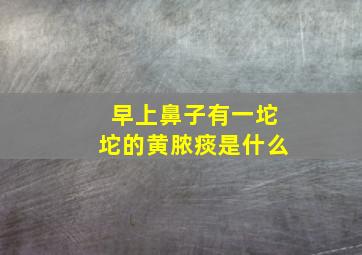 早上鼻子有一坨坨的黄脓痰是什么