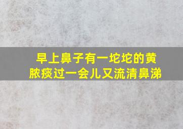 早上鼻子有一坨坨的黄脓痰过一会儿又流清鼻涕