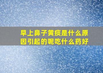 早上鼻子黄痰是什么原因引起的呢吃什么药好