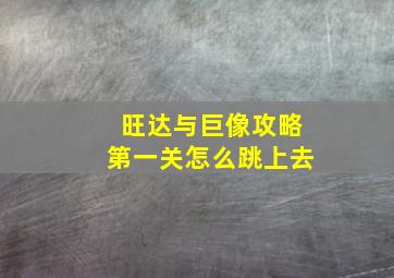 旺达与巨像攻略第一关怎么跳上去