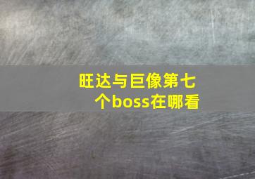 旺达与巨像第七个boss在哪看