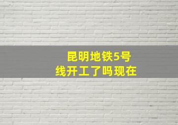 昆明地铁5号线开工了吗现在