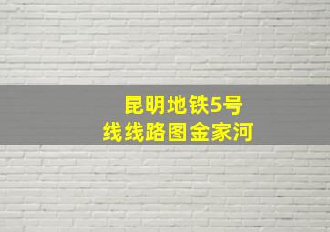 昆明地铁5号线线路图金家河