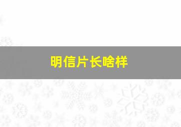 明信片长啥样