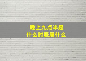 晚上九点半是什么时辰属什么