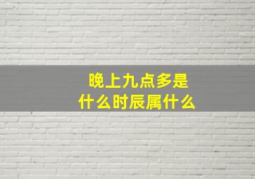 晚上九点多是什么时辰属什么