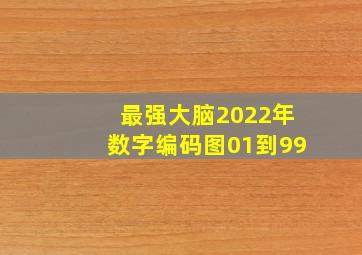 最强大脑2022年数字编码图01到99