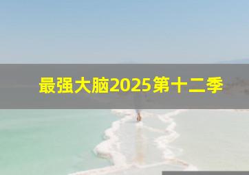 最强大脑2025第十二季