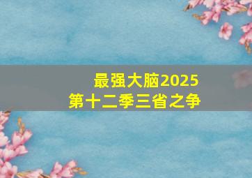 最强大脑2025第十二季三省之争