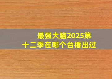 最强大脑2025第十二季在哪个台播出过