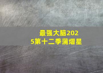 最强大脑2025第十二季蒲熠星