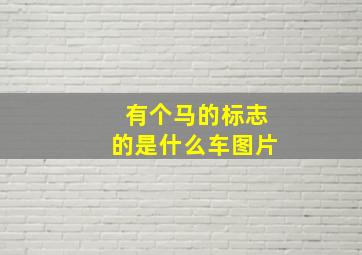 有个马的标志的是什么车图片