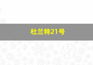 杜兰特21号