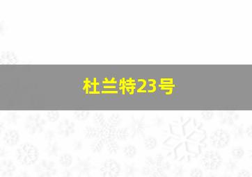 杜兰特23号