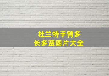 杜兰特手臂多长多宽图片大全