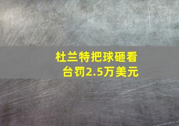 杜兰特把球砸看台罚2.5万美元