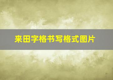 来田字格书写格式图片