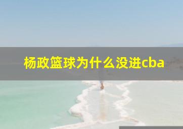 杨政篮球为什么没进cba