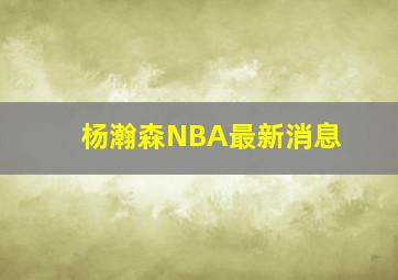 杨瀚森NBA最新消息