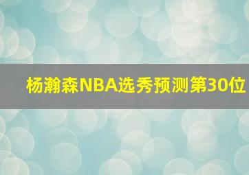 杨瀚森NBA选秀预测第30位