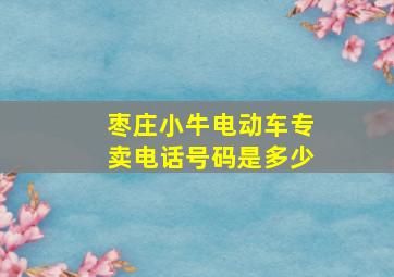 枣庄小牛电动车专卖电话号码是多少