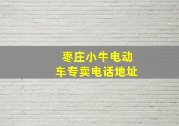 枣庄小牛电动车专卖电话地址