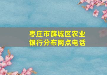 枣庄市薛城区农业银行分布网点电话