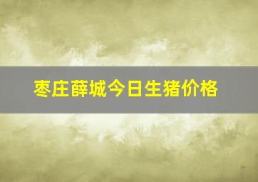 枣庄薛城今日生猪价格