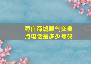 枣庄薛城暖气交费点电话是多少号码