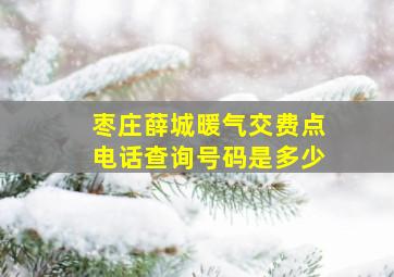 枣庄薛城暖气交费点电话查询号码是多少