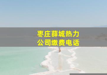 枣庄薛城热力公司缴费电话