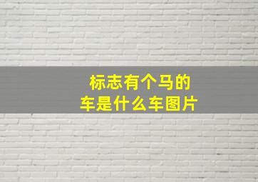 标志有个马的车是什么车图片