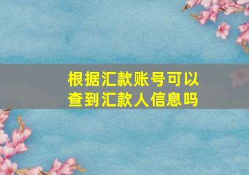 根据汇款账号可以查到汇款人信息吗